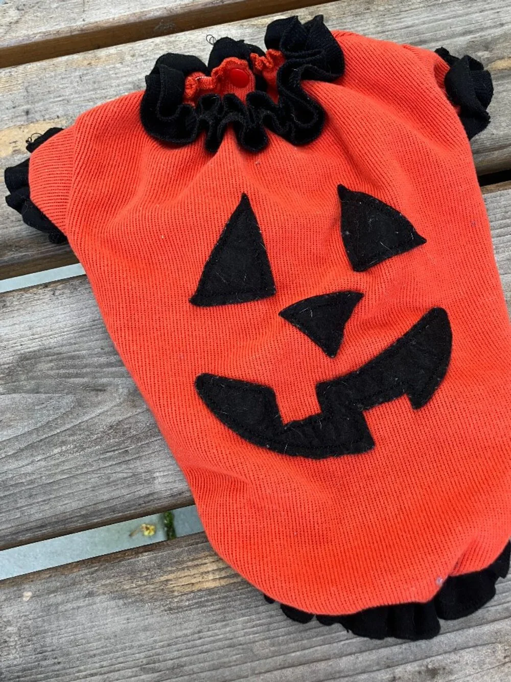 Halloween Jack-O'-Lantern Dog Costume 🎃 Pumpkin Pet Costume Orange & Black Ruff